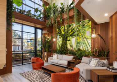 Maya, Lady of Botanica